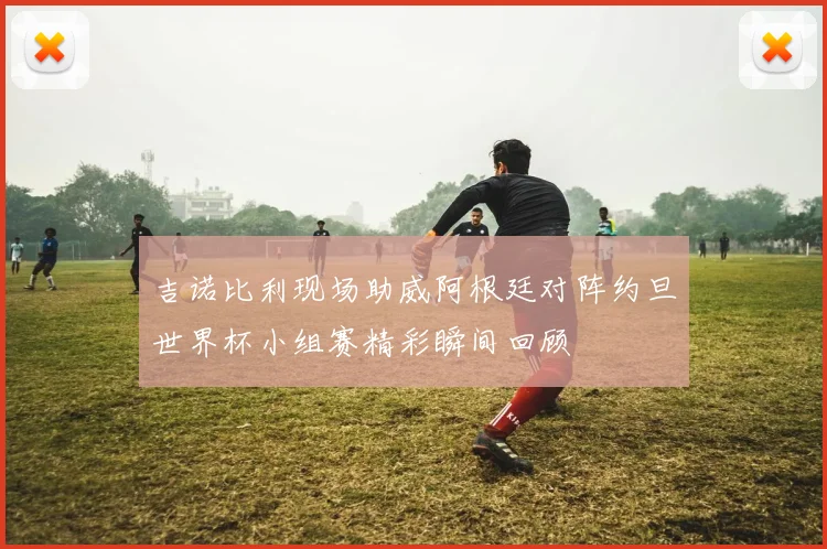 吉诺比利现场助威阿根廷对阵约旦世界杯小组赛精彩瞬间回顾